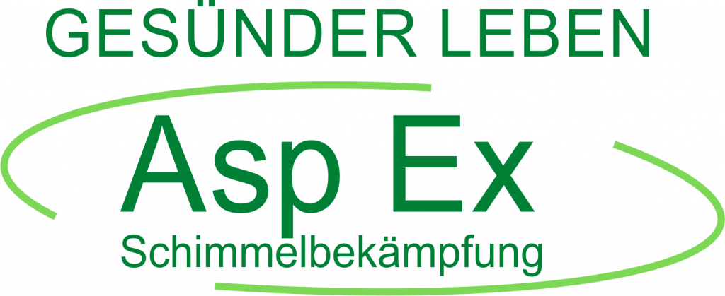 Asp Ex Logo